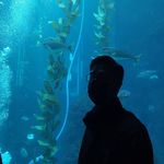 雷君城 - @lei_chuncheng - Instagram