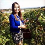 Lei Meng - @leimengchampagne - Instagram