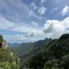 Leishu_ - @leishu_ - TikTok