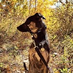 Leia Anderson - @chronicals_of_leia - Instagram