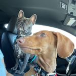 LEIA.BAILEY.NALA - @brats_l.b.m - Instagram