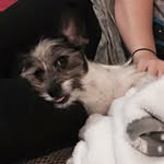 Leia Cook - @leia.cook - Instagram