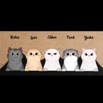 Yoda.Leia.Coco.Ford.✨ - @scottishfold.fam - Instagram