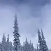 Leia Sky - @leiasky3 - TikTok