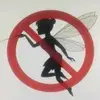 leia - @leia.the.fairy.hunter - TikTok