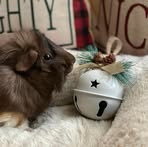 Leia Jones - Facebook