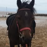 Leiajones120 - @leia.jones123 - Instagram