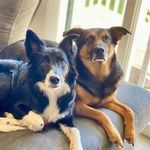 Leo + Leia Levy - @leo_leia_levy - Instagram