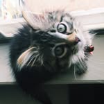 Leia May - @princessleiamay - Instagram