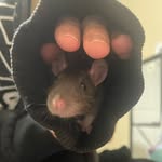 leia may - @ugh._.leia_ - Instagram