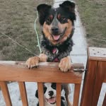 Leia & Murphy - @leia.murphy_ - Instagram