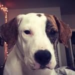Leia Murphy - @lilprincessleiaa - Instagram