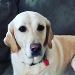 leia clara nelson - @leia_nelson12 - Instagram