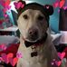 Leia Patterson - Facebook