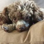 Leia Stancil Perry - @leiaperry - Instagram