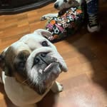 Leia Ramirez - @learamirezflo - Instagram