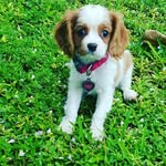 Leia Rose Ramirez - @leiaroseramirez - Instagram