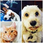 Ripley John & Leia Reed - @theadventuresofripleyandleia - Instagram