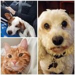 Ripley John & Leia Reed - @adventuresofripleyandleia - Instagram