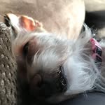 Leia Reilly - @_leia_reilly_ - Instagram