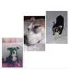 Leia Ross - @leia.ross3 - TikTok