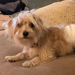 Leia Schultz - @leiaschultz2021 - Instagram