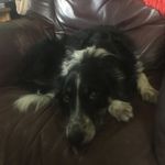 Leia Shaw - @leia.shaw.733 - Instagram