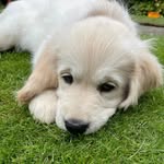 Leia Simpson-Smith - @lifeofourleia - Instagram