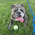 Leia Warner - @leia_warner_ - Instagram
