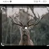 leiamwatson2 - @leiamwatson2 - TikTok