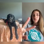 Leia Webb - @leiaewebb - Instagram