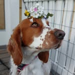 Leia - @leia.welshen - Instagram