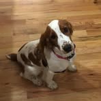 Leia Welsh - Facebook