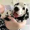 user3312215782754 - @leiawise5tsqco - TikTok