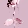Leida Ramos - @leidaramos7 - TikTok