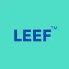 Leef_back_up - @leef_back_up - TikTok