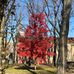 Leif Eriksson Park, Bay Ridge, New York. - Facebook
