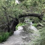 Eric Halverson - @ericleifhalverson - Instagram