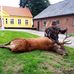 Leif Holm - Facebook