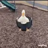 Leif Holm - @leif.holm - TikTok