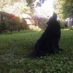 Leif Larson - @katkingx73 - Instagram