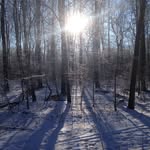 Leif Nielsen - @leif.nielsen.718 - Instagram