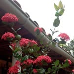 Walderina Leite - @walderinamachado - Instagram