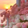 leigharnold223 - @leigharnold223 - TikTok