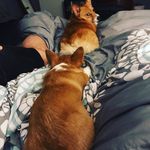 Leigh Bates - @indi_and_solo - Instagram
