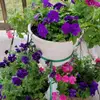 Leigh Bates - @gardening1967 - TikTok