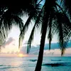 ryleigh_bates - @ryleigh_bates - TikTok