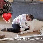 Leigh Beaver - @4mydanes - Instagram