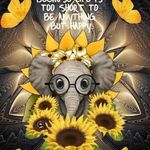 Leigh Benson - @beautifulsunflower2023 - Instagram
