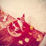 Brandon Leigh Bingham - @brandonleigh6553 - Instagram